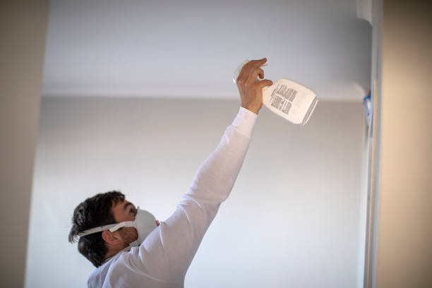 Best Mold Remediation  in Russellville, AL