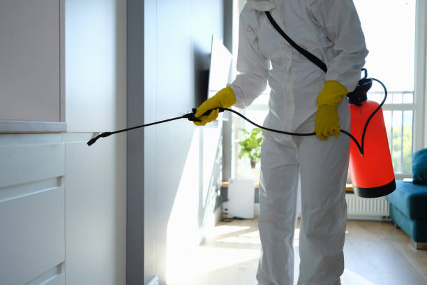 Best Mold Cleaning Services  in Russellville, AL