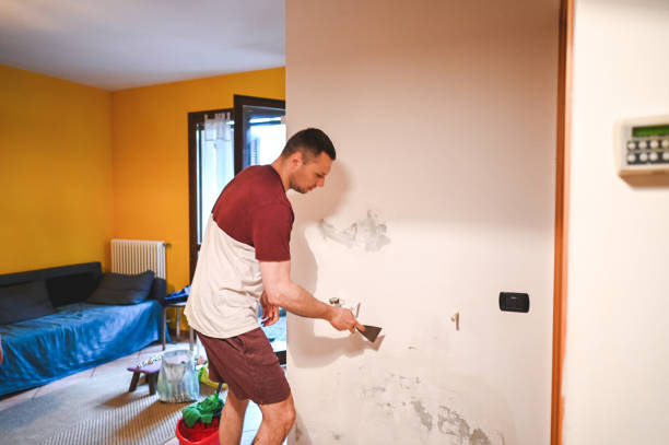 Best Local Mold Removal Service  in Russellville, AL