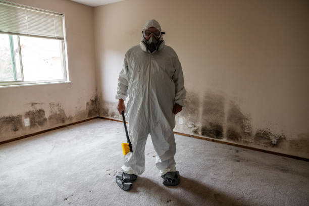 Professional Mold Removal in Russellville, AL
